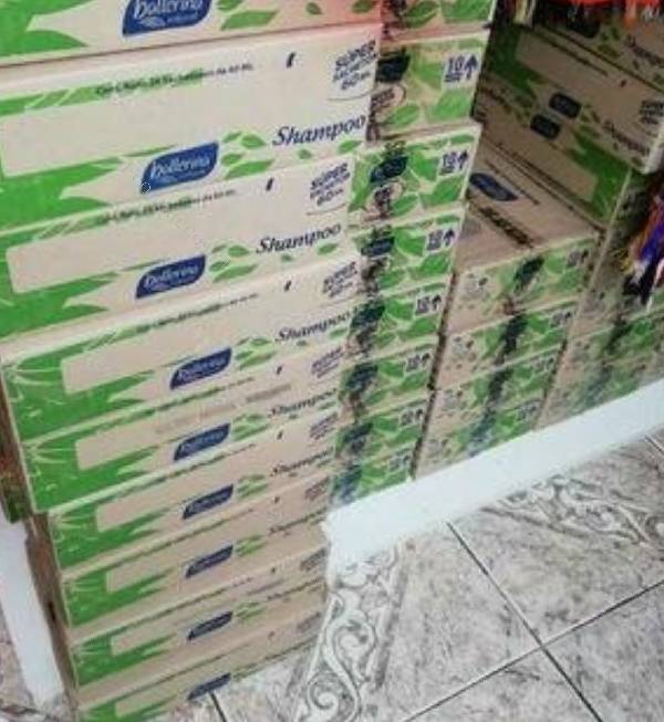 SHAMPOO BALLERINA  CAJA 24 UND.  