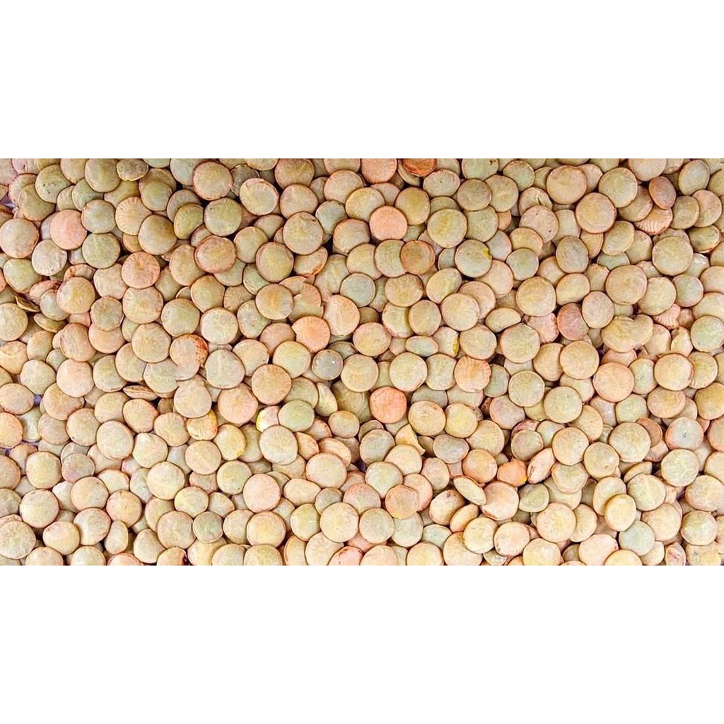 LENTEJA AMERICANA KG.