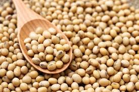 SOYA ENTERA KG.