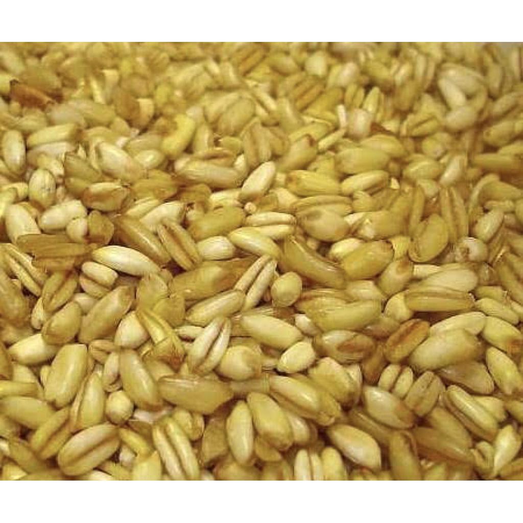TRIGO AMARILLO KG.