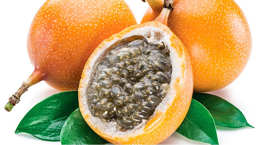 GRANADILLA KG.