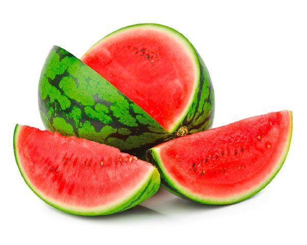 SANDIA KG.