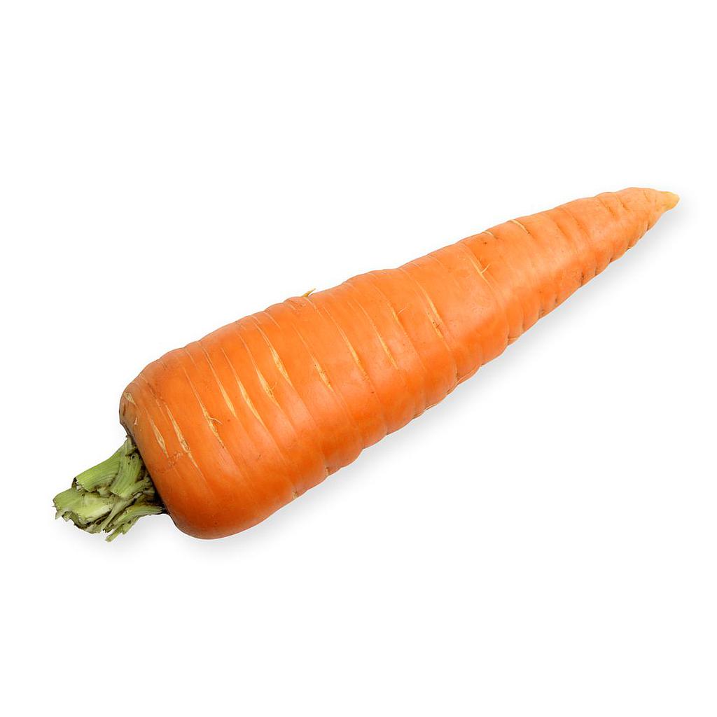 ZANAHORIA KG.
