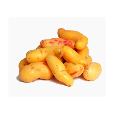OLLUCO KG.