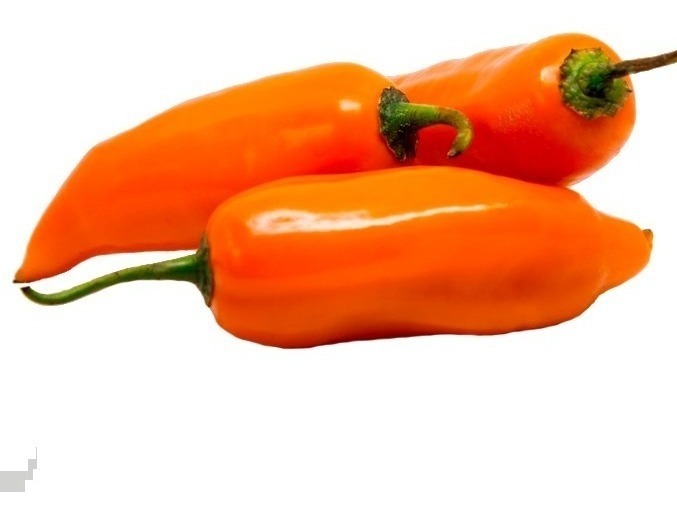 AJI AMARILLO