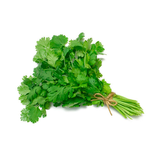 CULANTRO KG.
