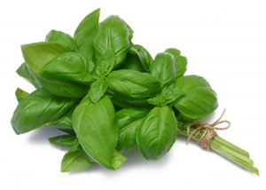 ALBAHACA KG.