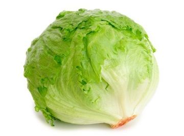 LECHUGA AMERICANA