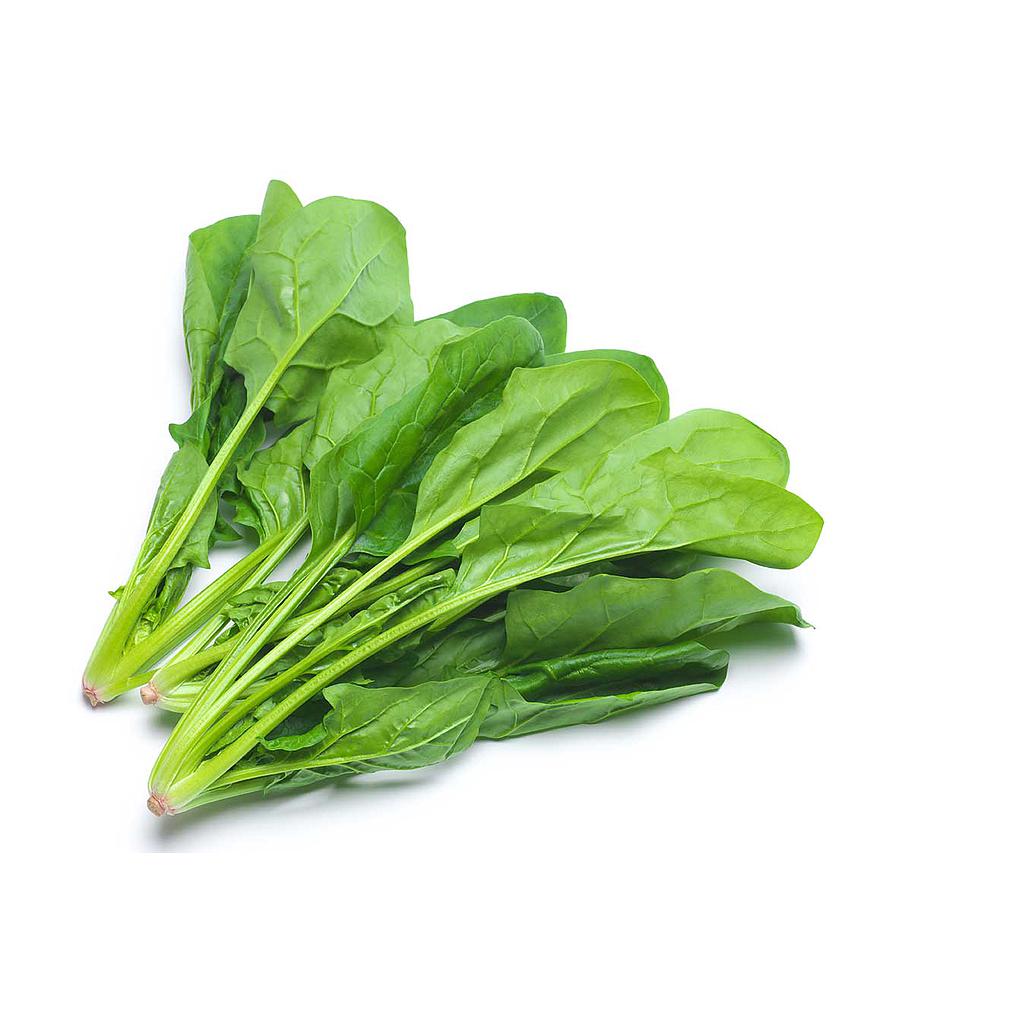 ESPINACA
