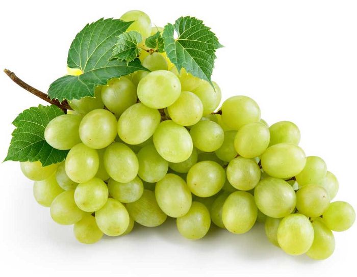 UVA VERDE ITALIA