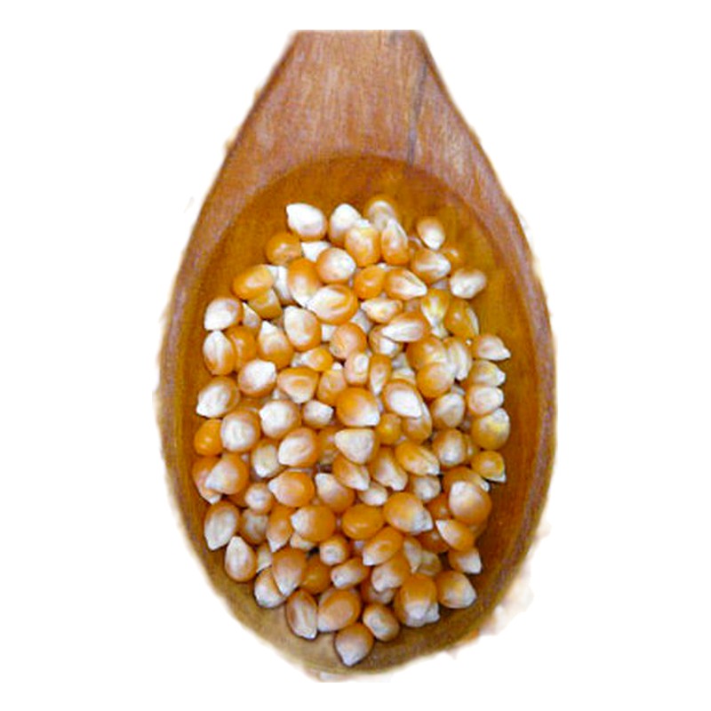 MAIZ POP CORN KG.