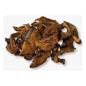 HONGOS SECOS NACIONAL KG.