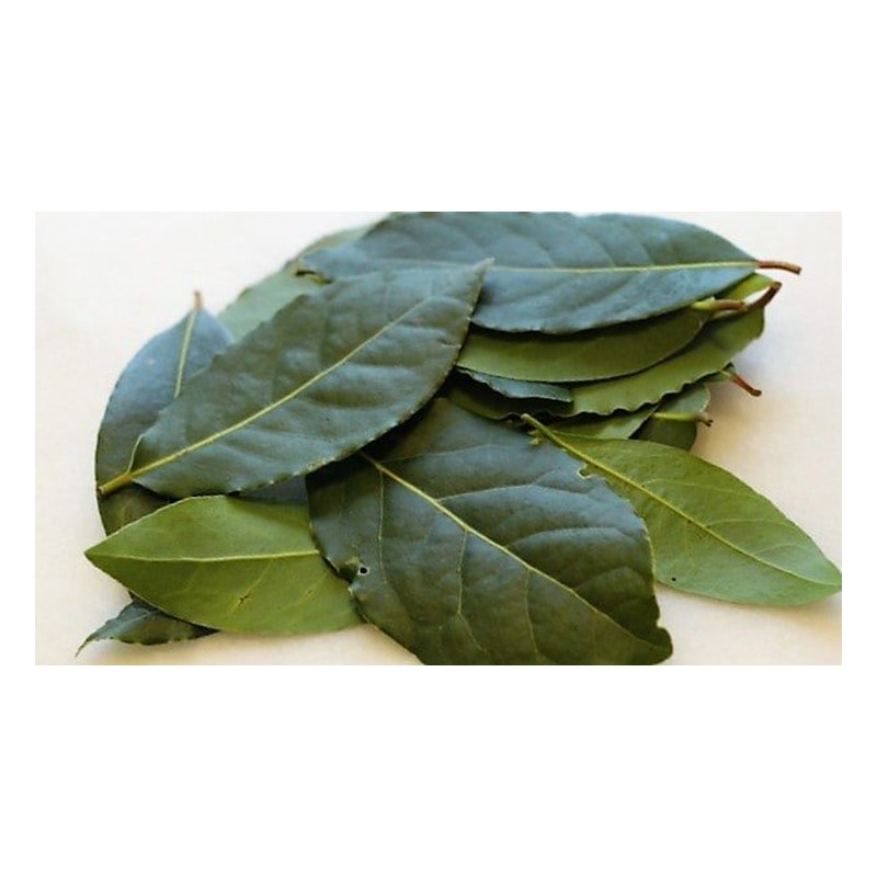 LAUREL ESPAÑOL A GRANEL KG.
