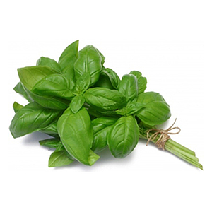 ALBAHACA KG.
