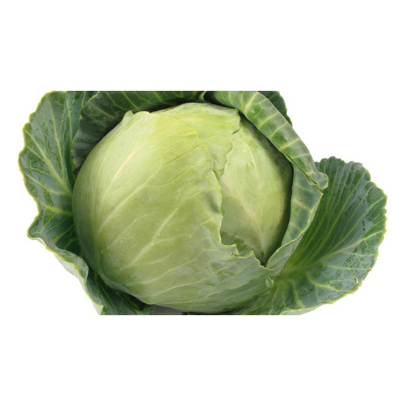 COL O REPOLLO UN.