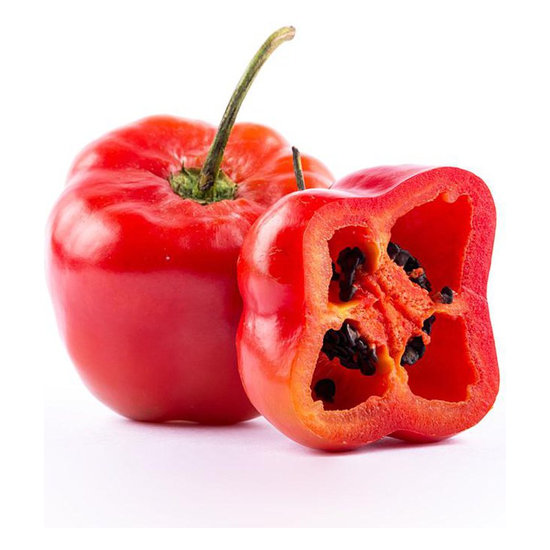 ROCOTO KG.