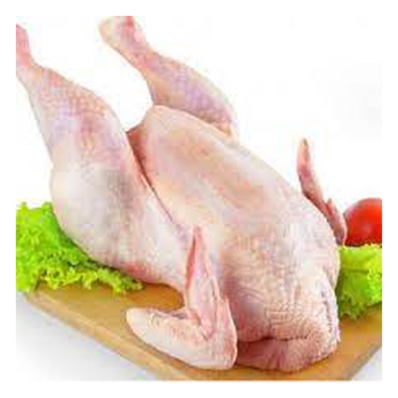GALLINA KG.