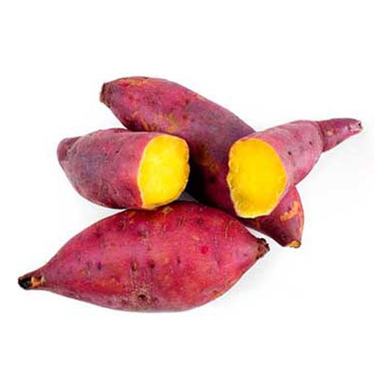 CAMOTE MORADO KG.
