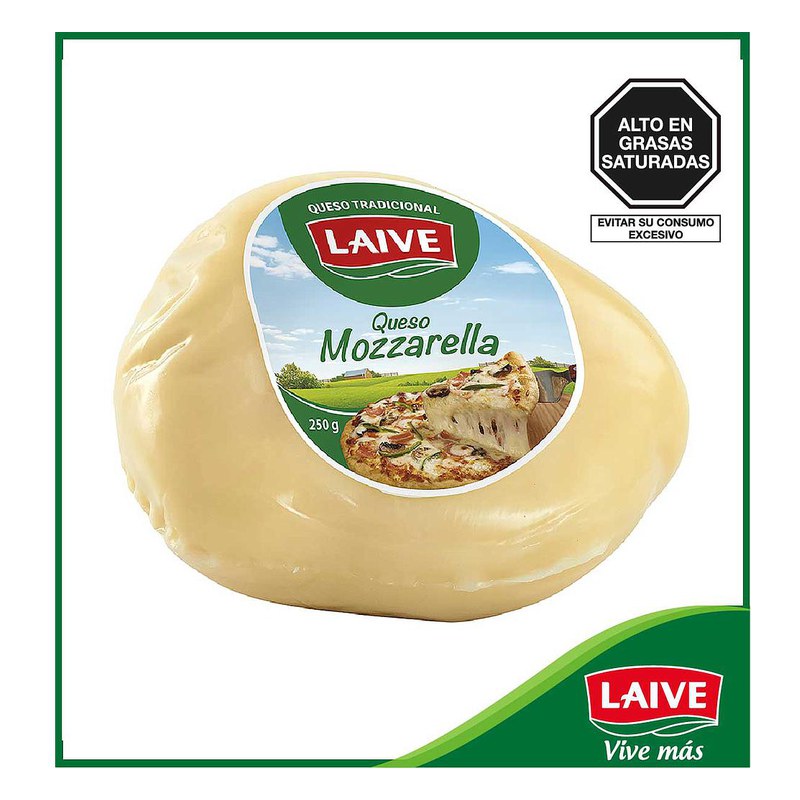 QUESO MOZARELLA BONLE 250 GR.